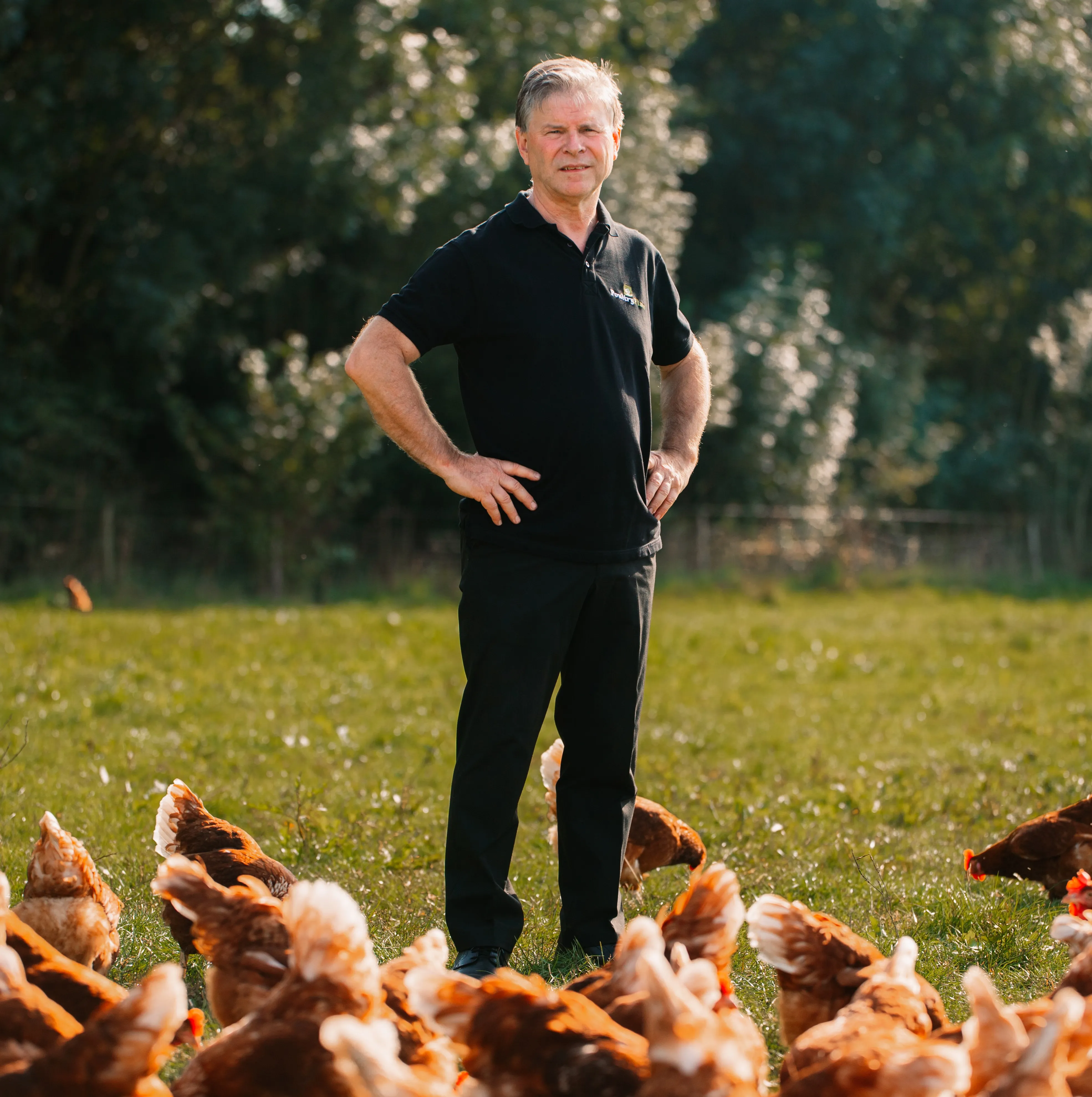 wim poultryplan